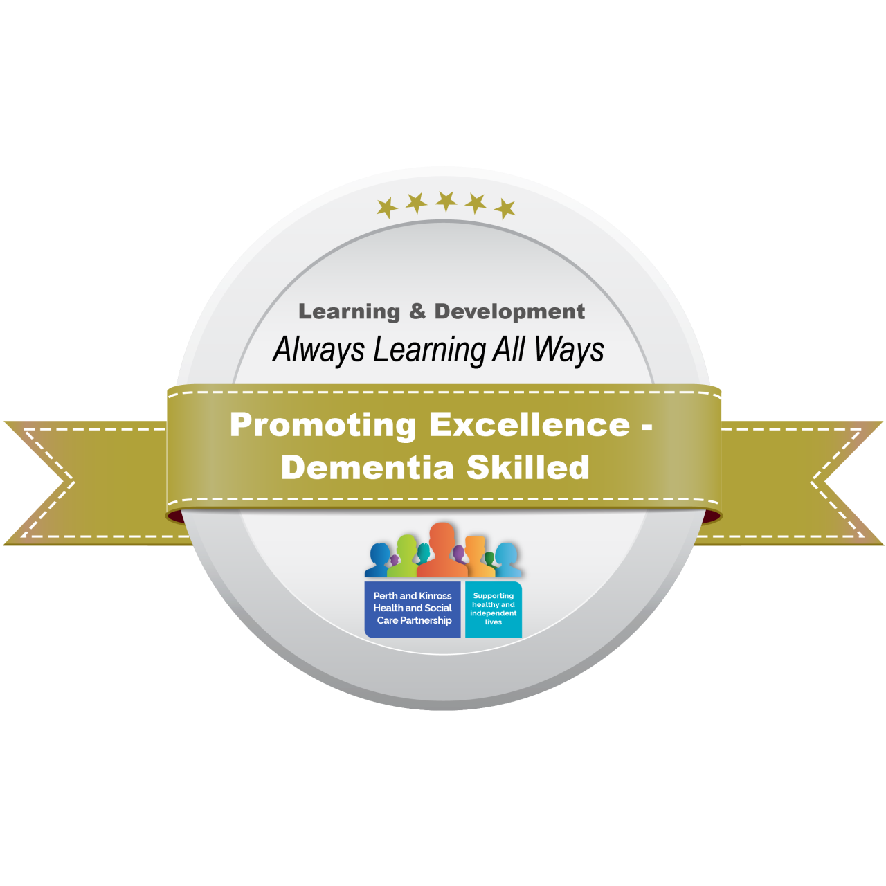Promoting Excellence - Full Award